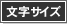�����T�C�Y