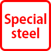 Special steel